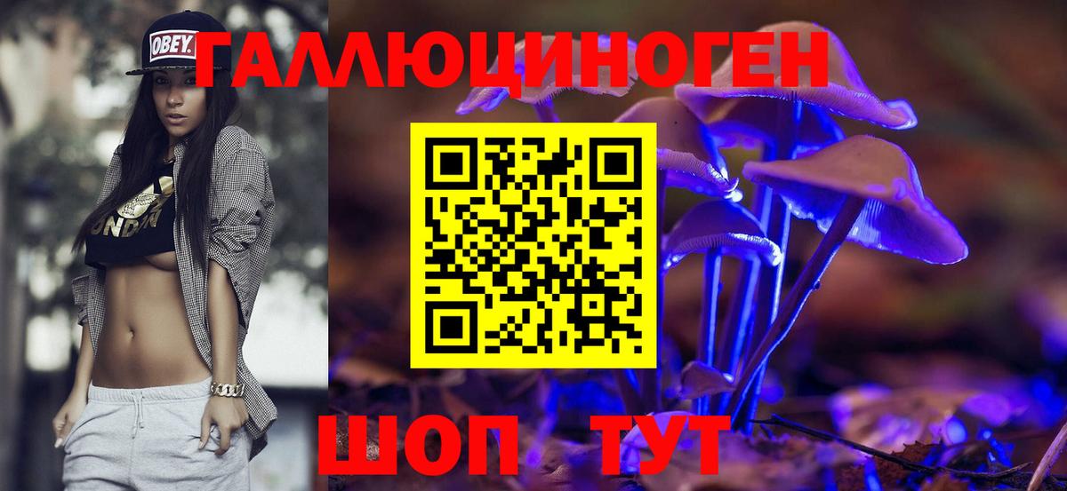 Балашиха  Галлюциногенные грибы Psilocybe  Вход с VPN  Псилоцибиновые грибы мухоморы 