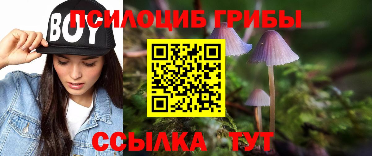 Псилоцибиновые грибы GOLDEN TEACHER Балашиха